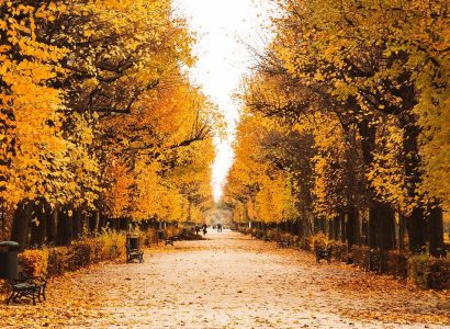 Herbst in Wien – bunt statt grau